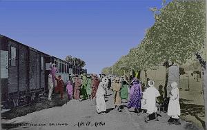 Ain el arba